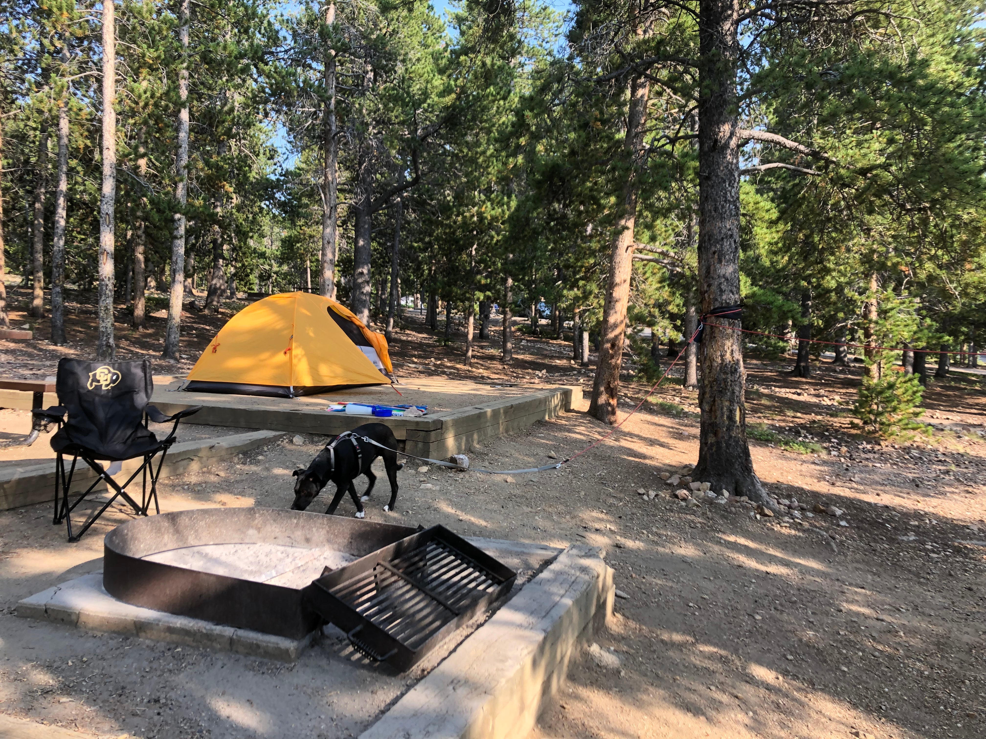 Camper submitted image from Reverend's Ridge Campground — Golden Gate Canyon - 1