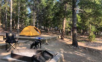 Camping near Base Camp at Golden Gate Canyon: Reverend's Ridge Campground — Golden Gate Canyon, Rollinsville, Colorado