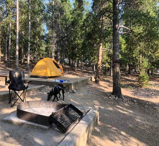 Camper-submitted photo from Glacier Basin Campground — Rocky Mountain National Park