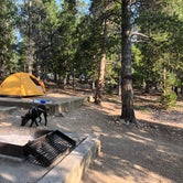 Review photo of Reverend's Ridge Campground — Golden Gate Canyon by L M., August 21, 2021