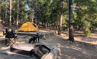 L M.'s photo at Reverend's Ridge Campground — Golden Gate Canyon near Eldorado Springs, CO