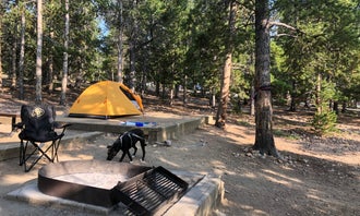 Camping near Pickle Gulch: Reverend's Ridge Campground — Golden Gate Canyon, Rollinsville, Colorado