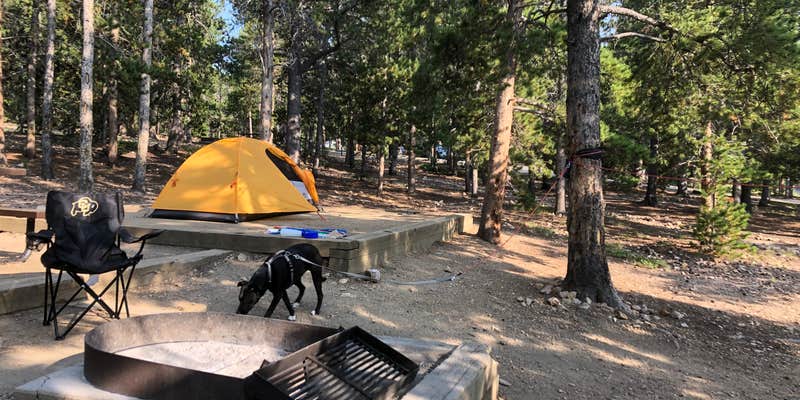 Camper submitted image from Reverend's Ridge Campground — Golden Gate Canyon