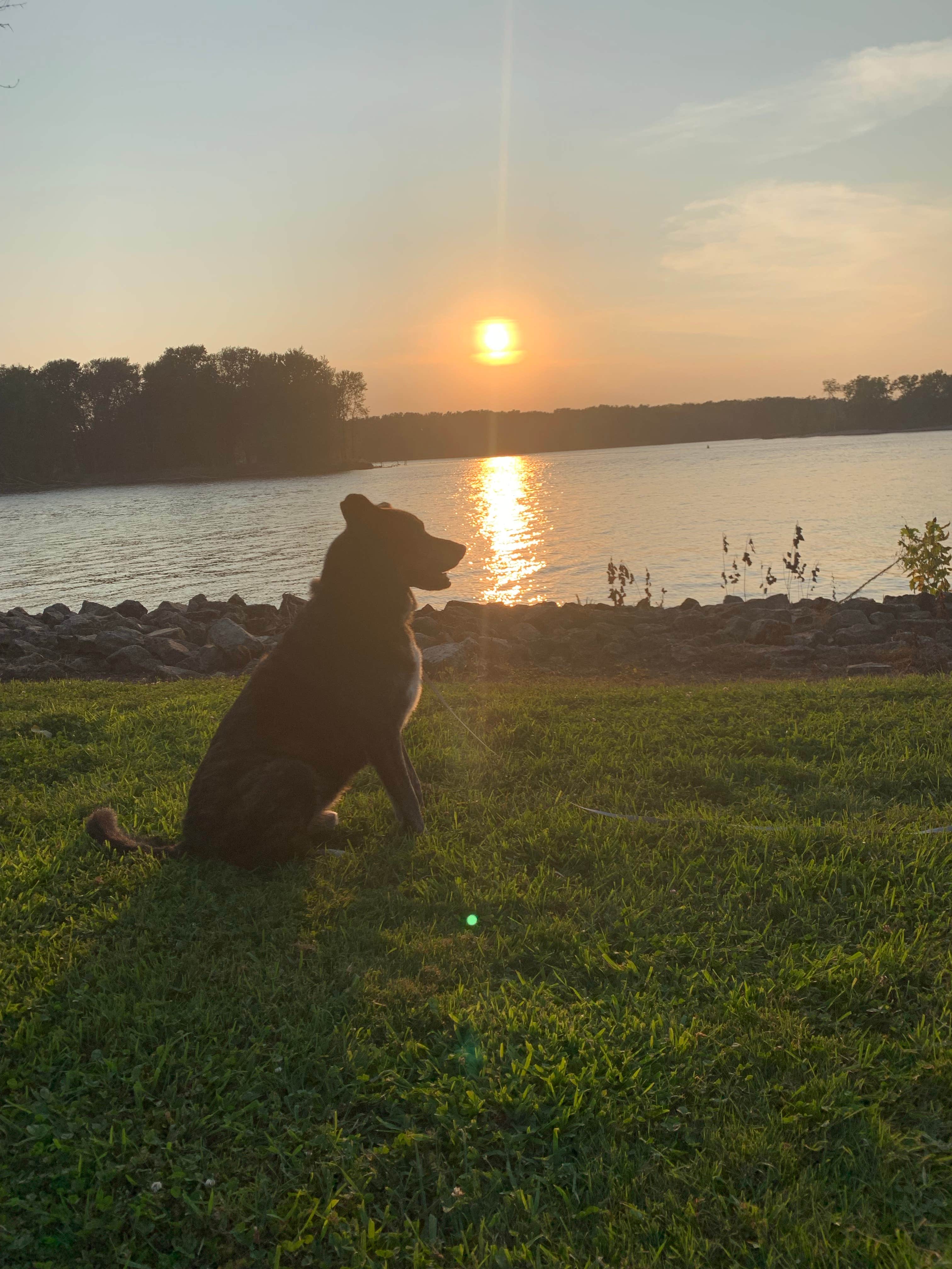 Mark G.'s photo of camping with pets at Blackhawk Park near Lansing, IA