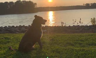 Mark G.'s photo of camping with pets at Blackhawk Park near Viroqua, WI