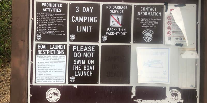 Camper submitted image from Rose Lake