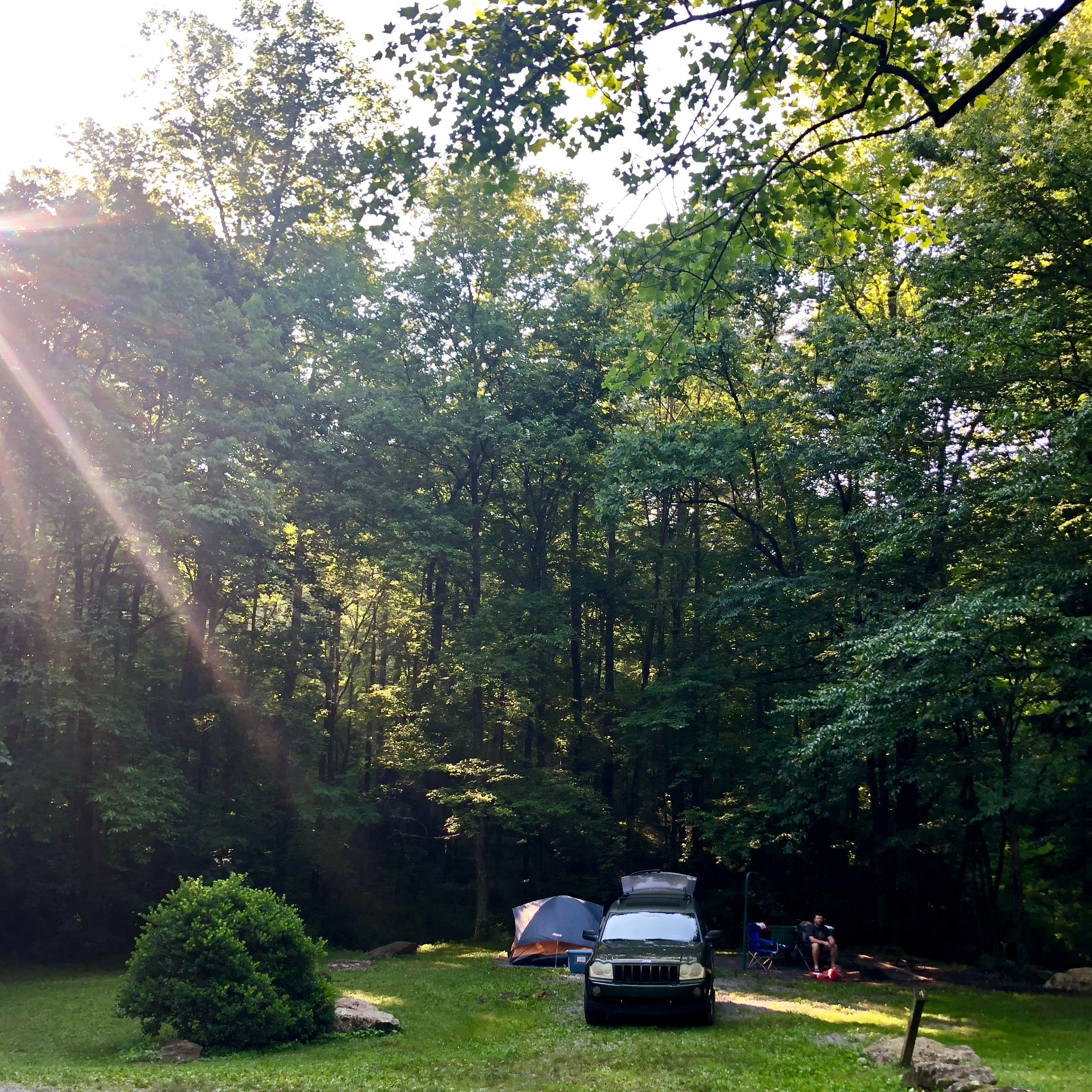 Camper submitted image from Jacks River Fields Campground — Chattahoochee Oconee National Forest - 2