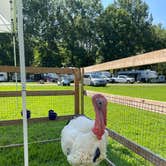 Review photo of Buckeye Lake-Columbus East KOA by Robert S., August 20, 2021