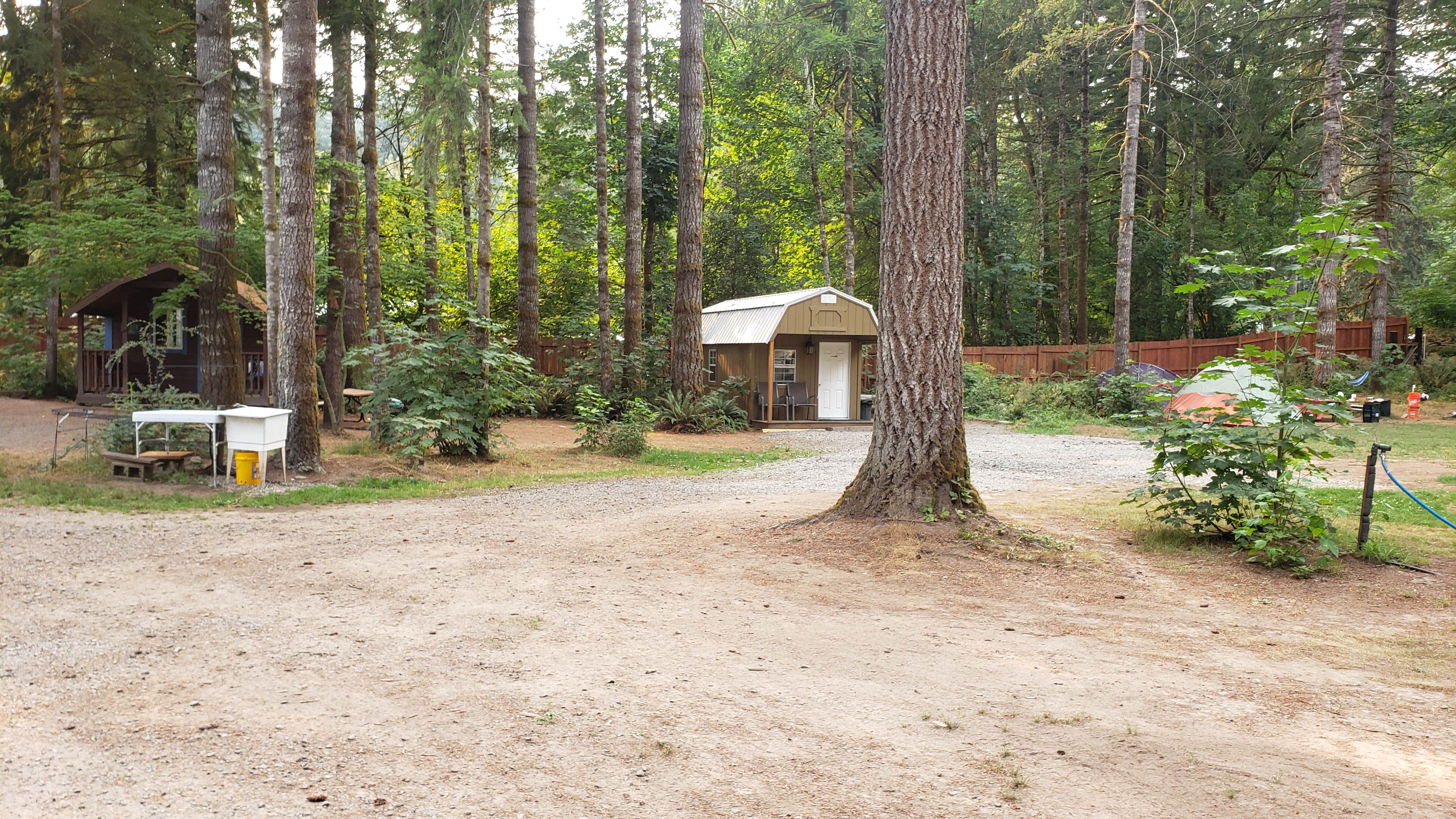 Mike's photo of glamping accommodations at Cougar RV Park and Campground near Woodland, WA