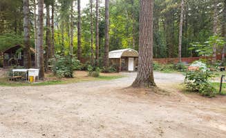 Mike's photo of glamping accommodations at Cougar RV Park and Campground near Packwood, WA