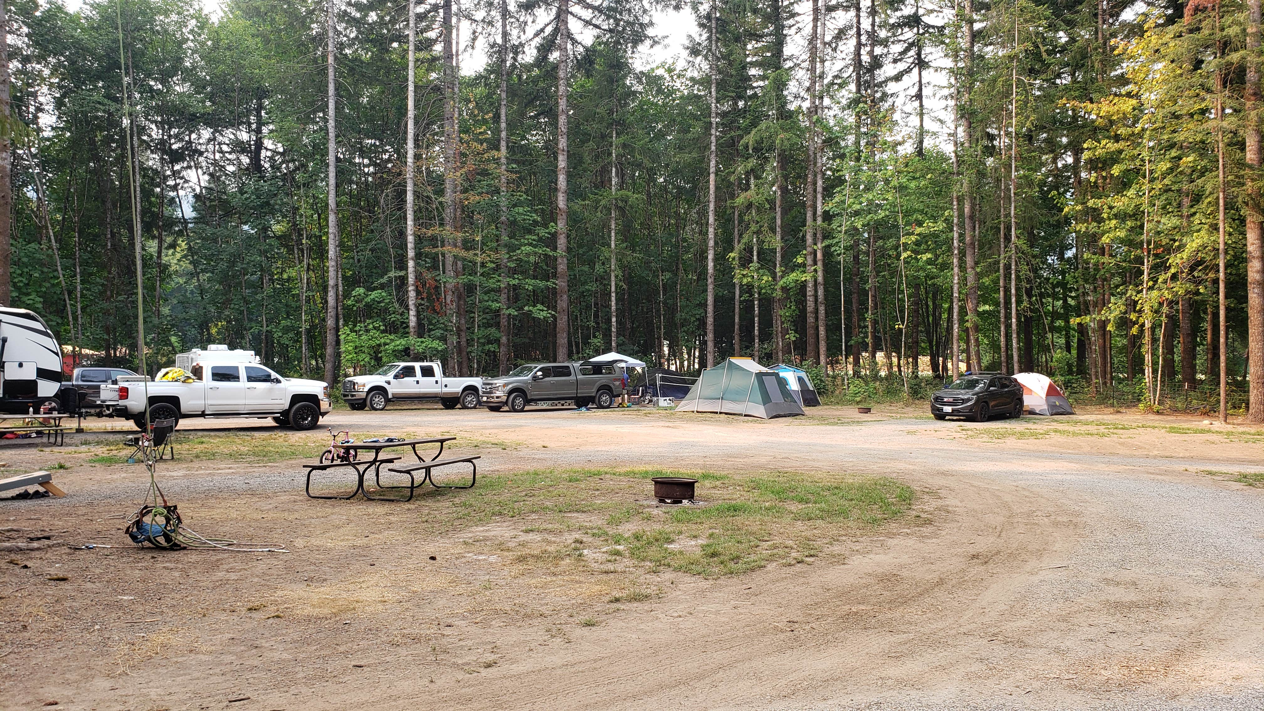 Mike's photo at Cougar RV Park and Campground near Yacolt, WA