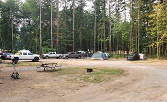 Mike's photo at Cougar RV Park and Campground near Woodland, WA