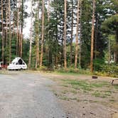 Review photo of Cougar RV Park and Campground by Mike , August 21, 2021