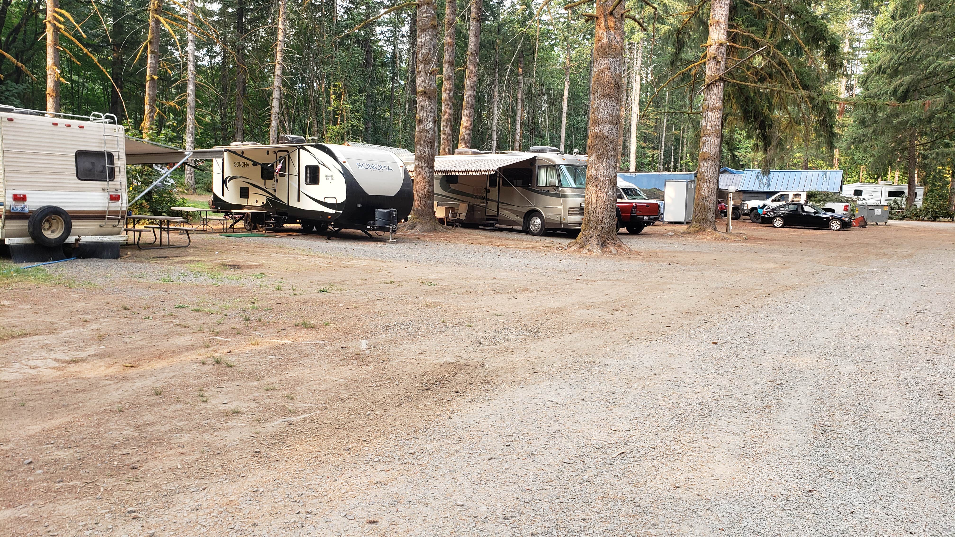 Mike's photo at Cougar RV Park and Campground near Yacolt, WA