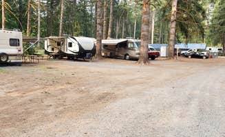 Mike's photo at Cougar RV Park and Campground near Yacolt, WA