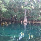 Review photo of Manatee Springs State Park Campground by Karen D., June 19, 2018