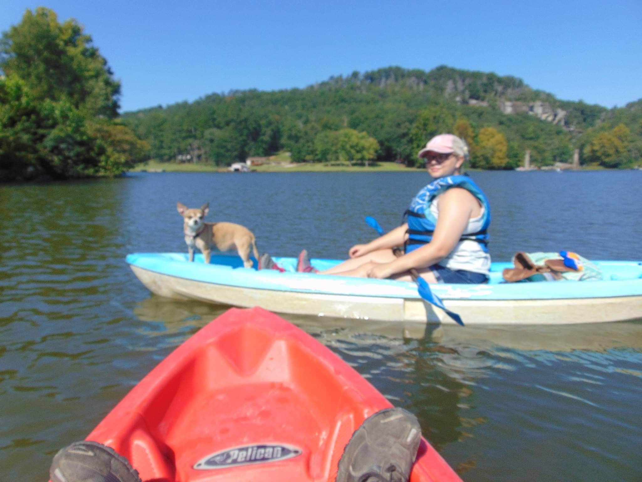 Camper submitted image from Yellow Creek Falls Fish Camp - 4