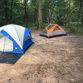 Review photo of Manatee Springs State Park Campground by Karen  D., June 19, 2018