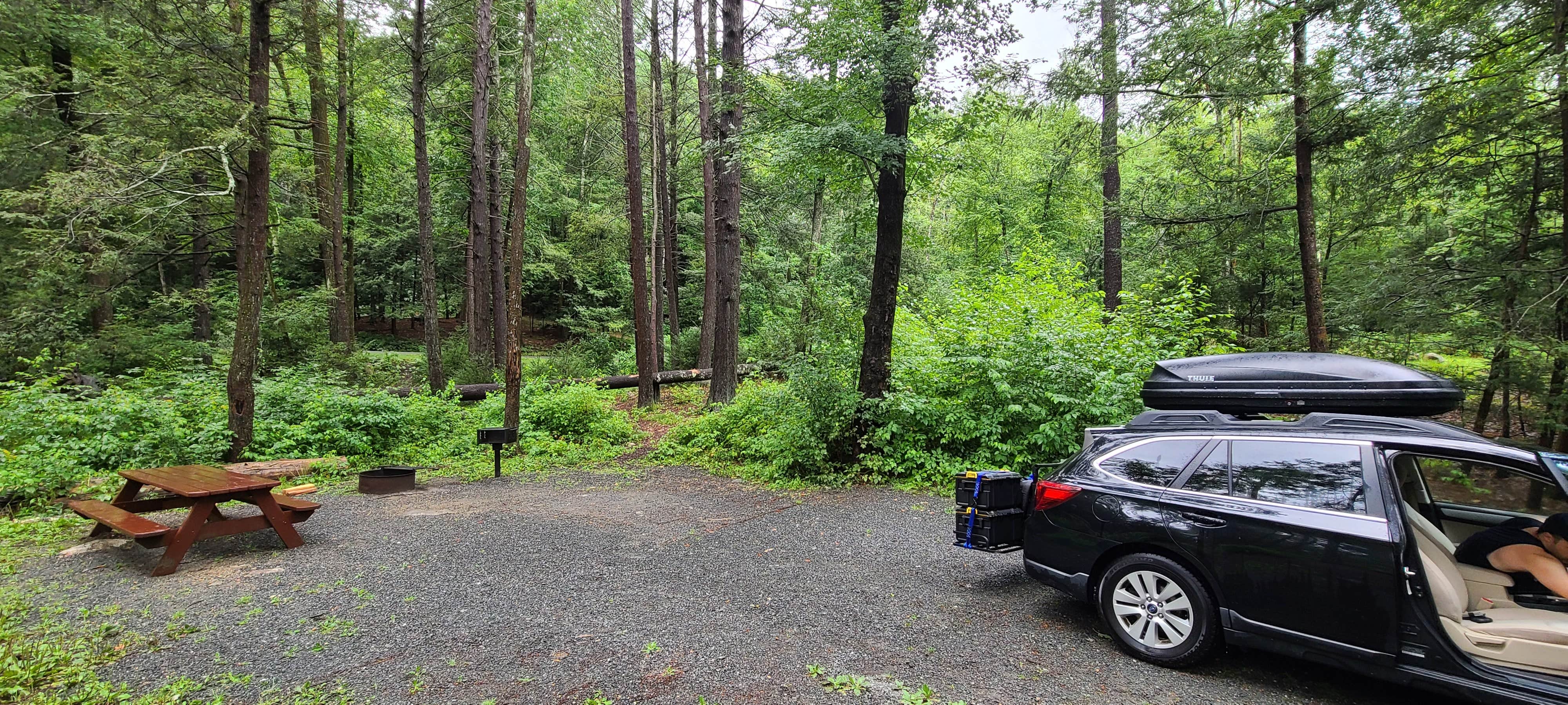 Camper submitted image from Wells State Park Campground - 1