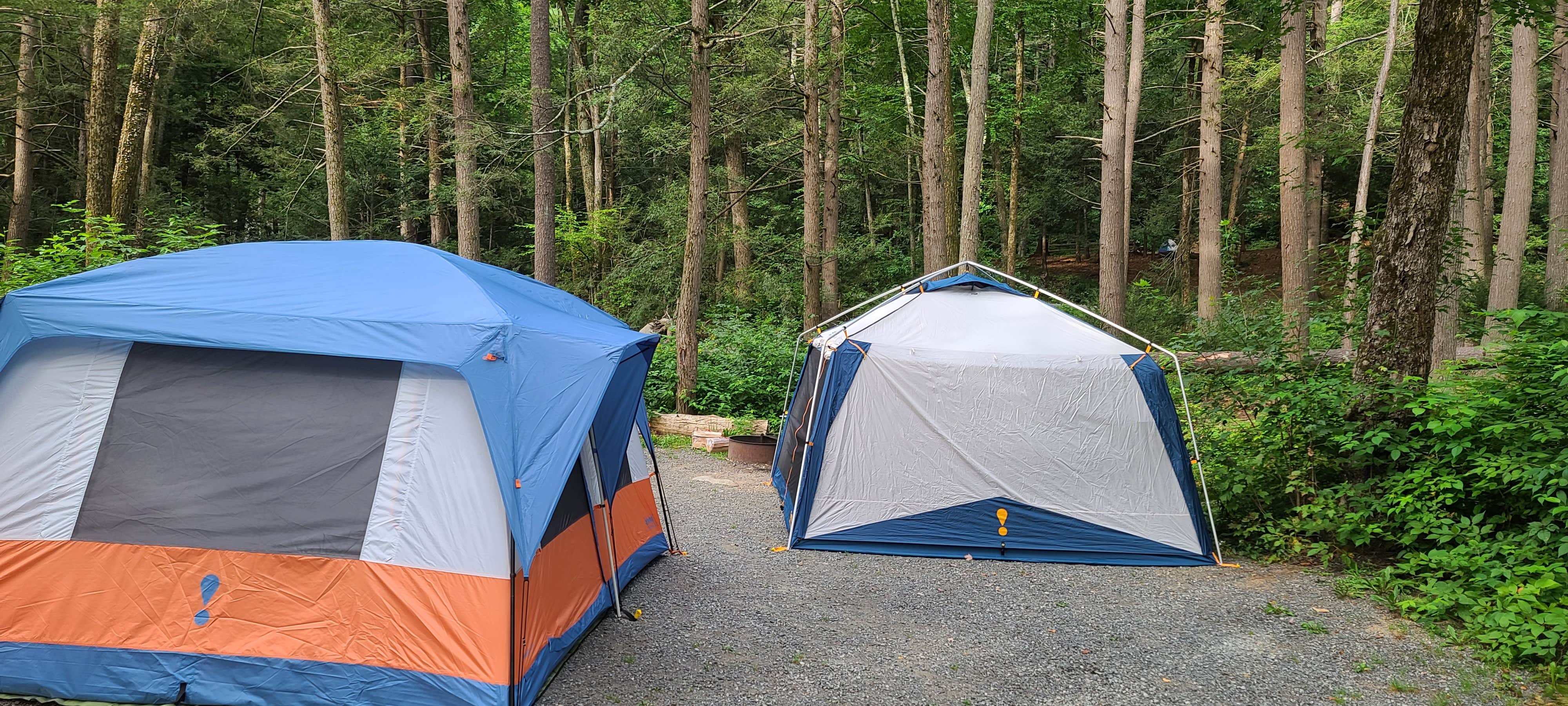 Tim S.'s photo at Wells State Park Campground near Ware, MA