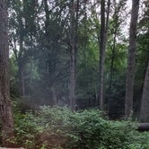 Review photo of Wells State Park Campground by Timothey S., August 21, 2021