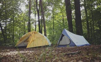 Chelsea J.'s photo at Lake Hope State Park Campground near Athens, OH