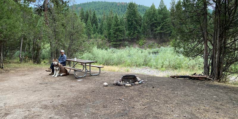 Camper submitted image from Corricks River Bend