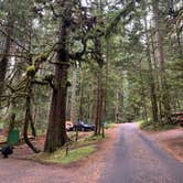 Review photo of Heart O' the Hills Campground — Olympic National Park by Sarah , August 22, 2021