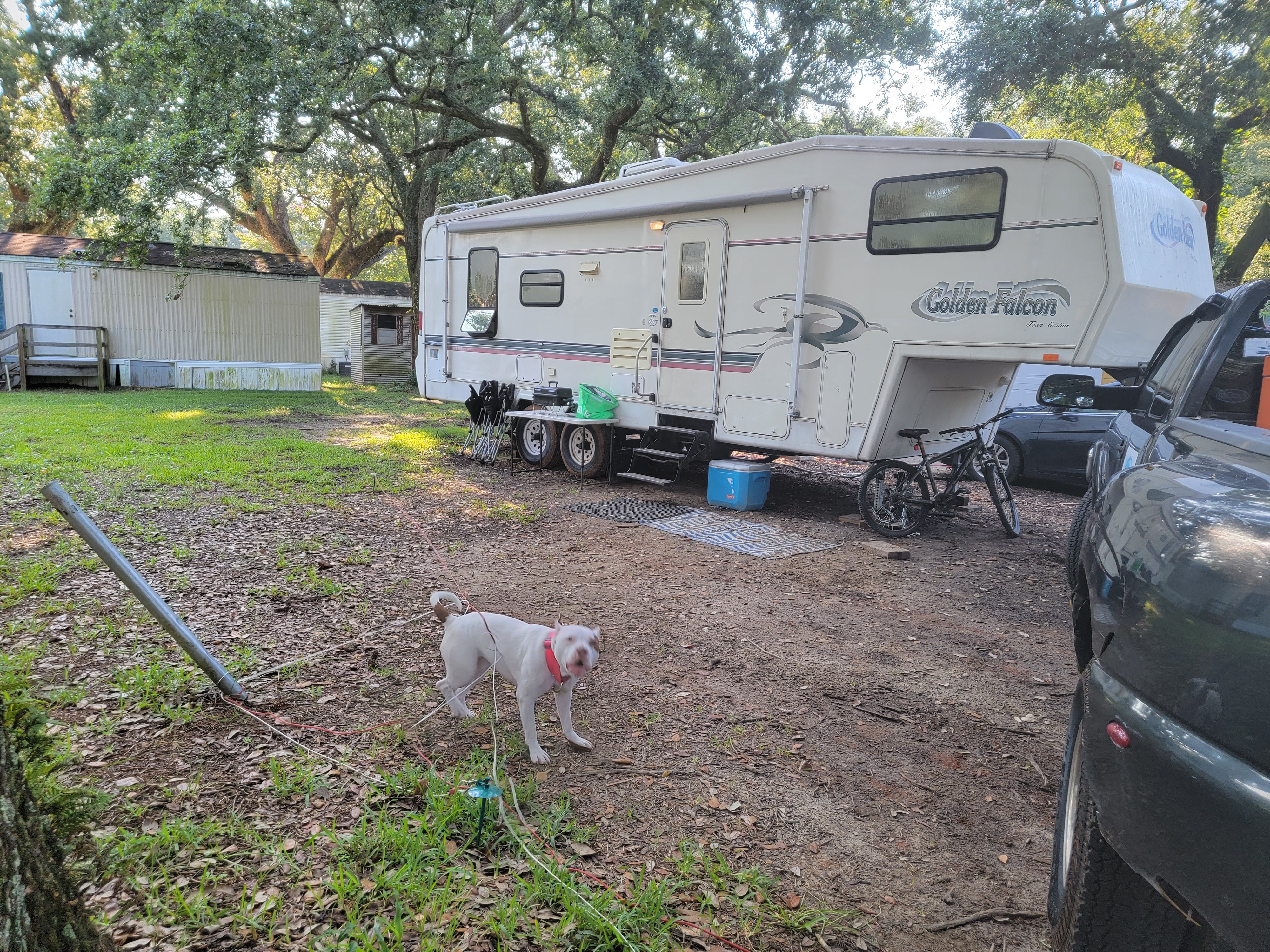 Camper submitted image from Tanglewood Gardens Mobile Home and RV Park - 1