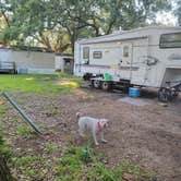 Review photo of Tanglewood Gardens Mobile Home and RV Park by Jessica C., August 22, 2021