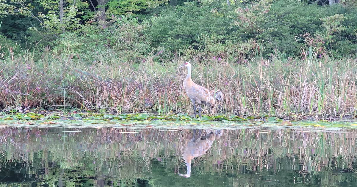 Crooked Lake Campground and RV Park Plainwell, MI