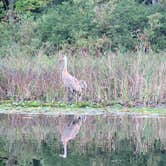 Review photo of Crooked Lake Campground and RV Park by Melissa B., August 22, 2021