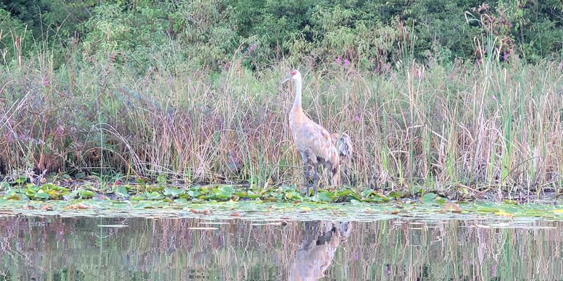 Camper submitted image from Crooked Lake Campground and RV Park
