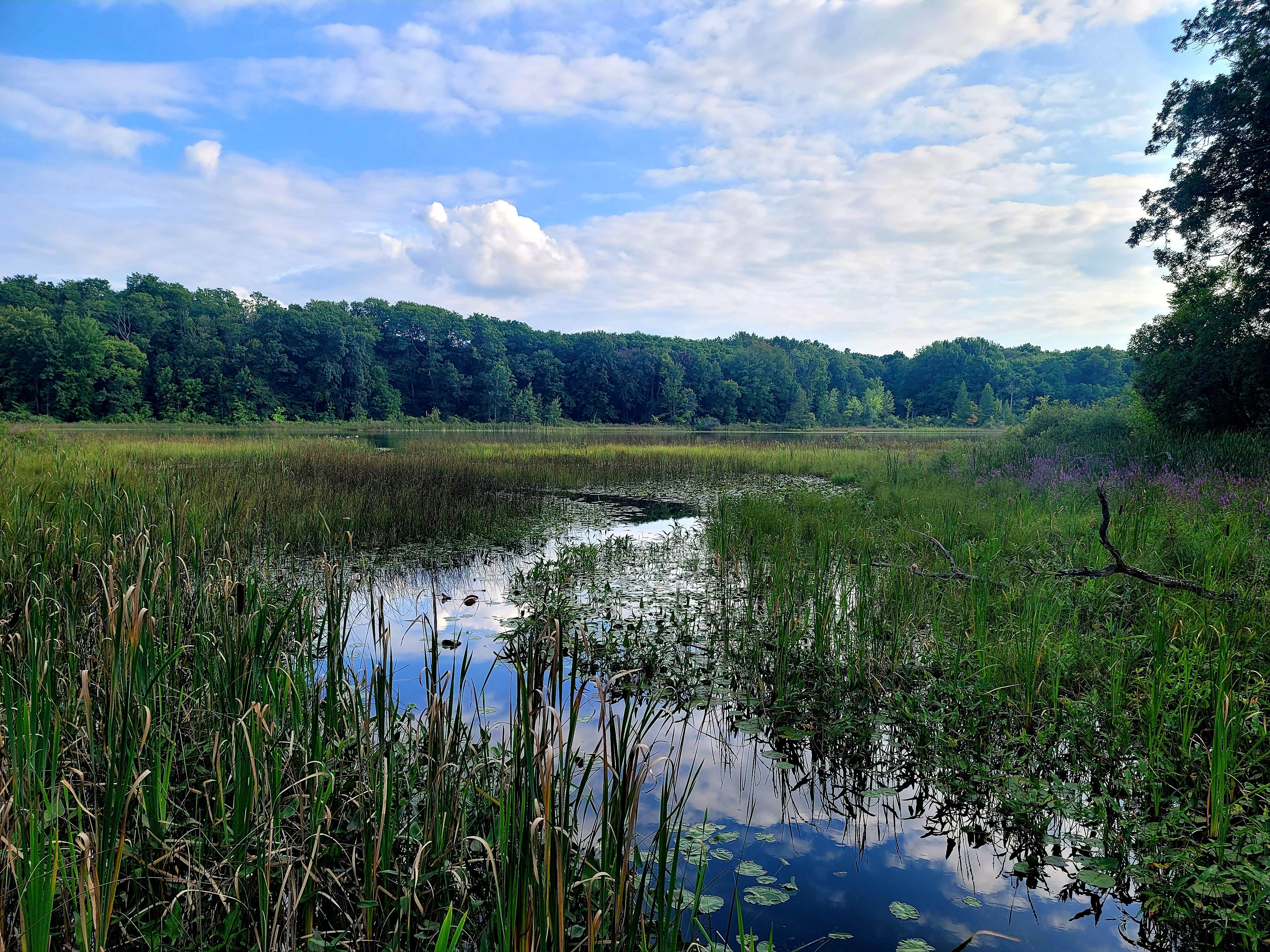 Camper-submitted photo at Crooked Lake Campground and RV Park near Caledonia, MI