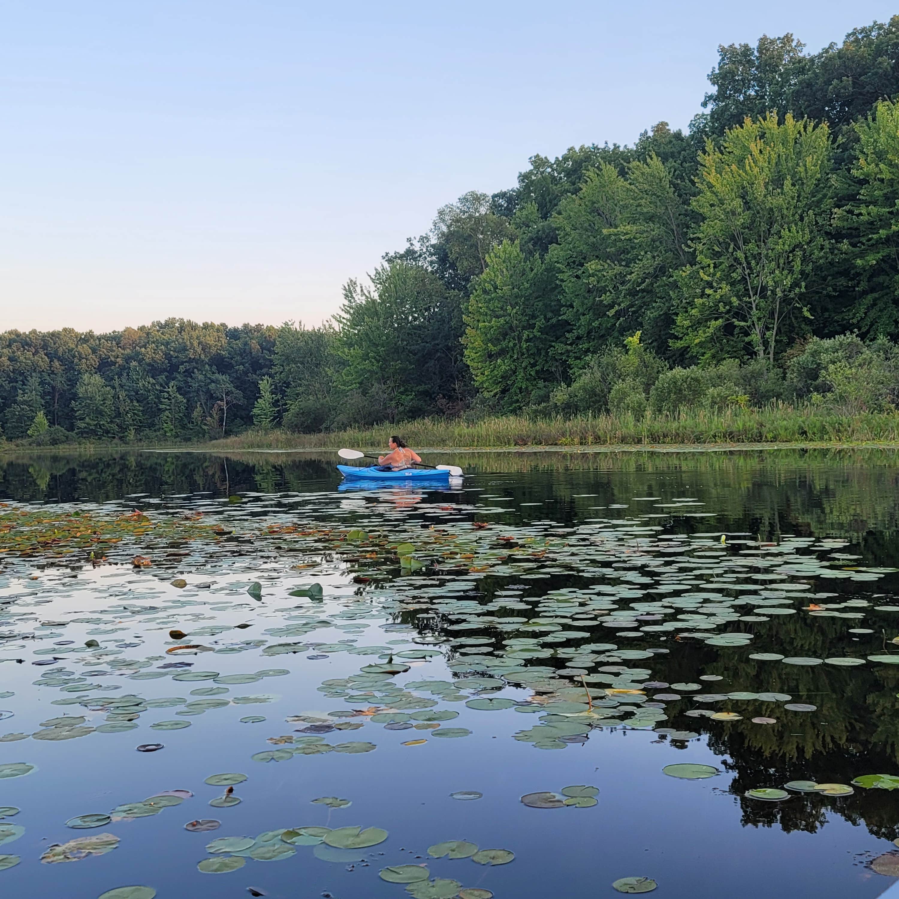 Crooked Lake State Park: Where Adventure Meets Tranquility in Michigan's Heart