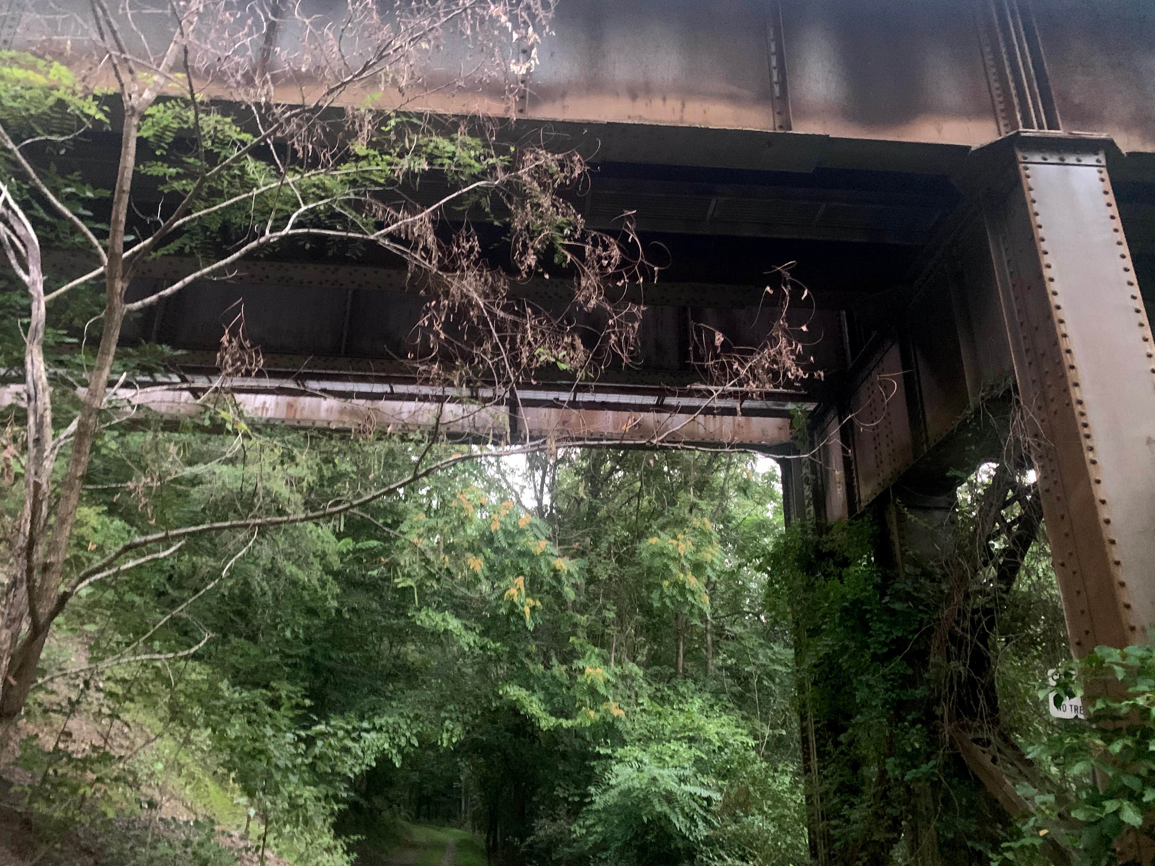 Camper submitted image from McCoys Ferry Campground — Chesapeake and Ohio Canal National Historical Park - 2