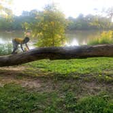 Review photo of Swains Lock Hiker-biker Overnight Campsite — Chesapeake and Ohio Canal National Historical Park by Jarmonay N., August 22, 2021