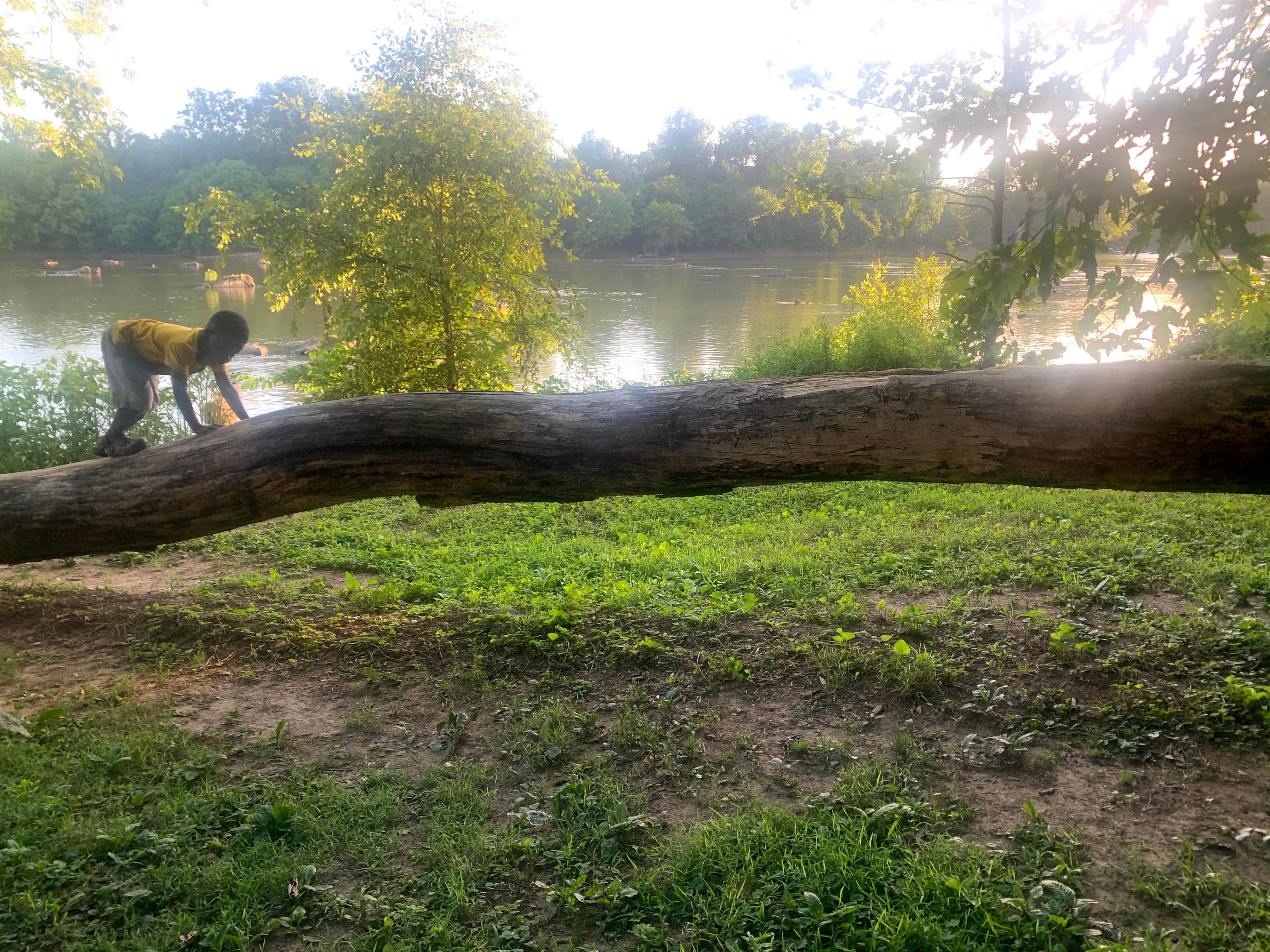 Camper submitted image from Swains Lock Hiker-biker Overnight Campsite — Chesapeake and Ohio Canal National Historical Park - 4