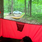 Review photo of Owens Creek Campground — Catoctin Mountain Park by Jarmonay N., August 22, 2021