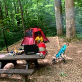 Review photo of Owens Creek Campground — Catoctin Mountain Park by Jarmonay N., August 22, 2021