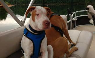 Doug S.'s photo of camping with pets at Friendship Rd near Coeburn, VA