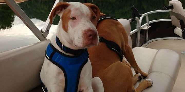 Camper submitted image from Friendship Rd