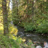 Review photo of Kachess Campground by Christopher F., August 22, 2021