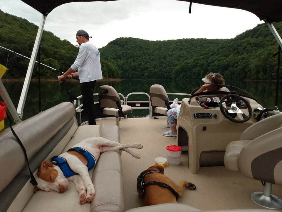 Camper submitted image from Friendship Rd - 2