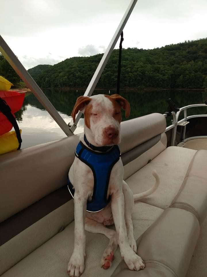 Camper-submitted photo at Friendship Rd near Bristol, TN