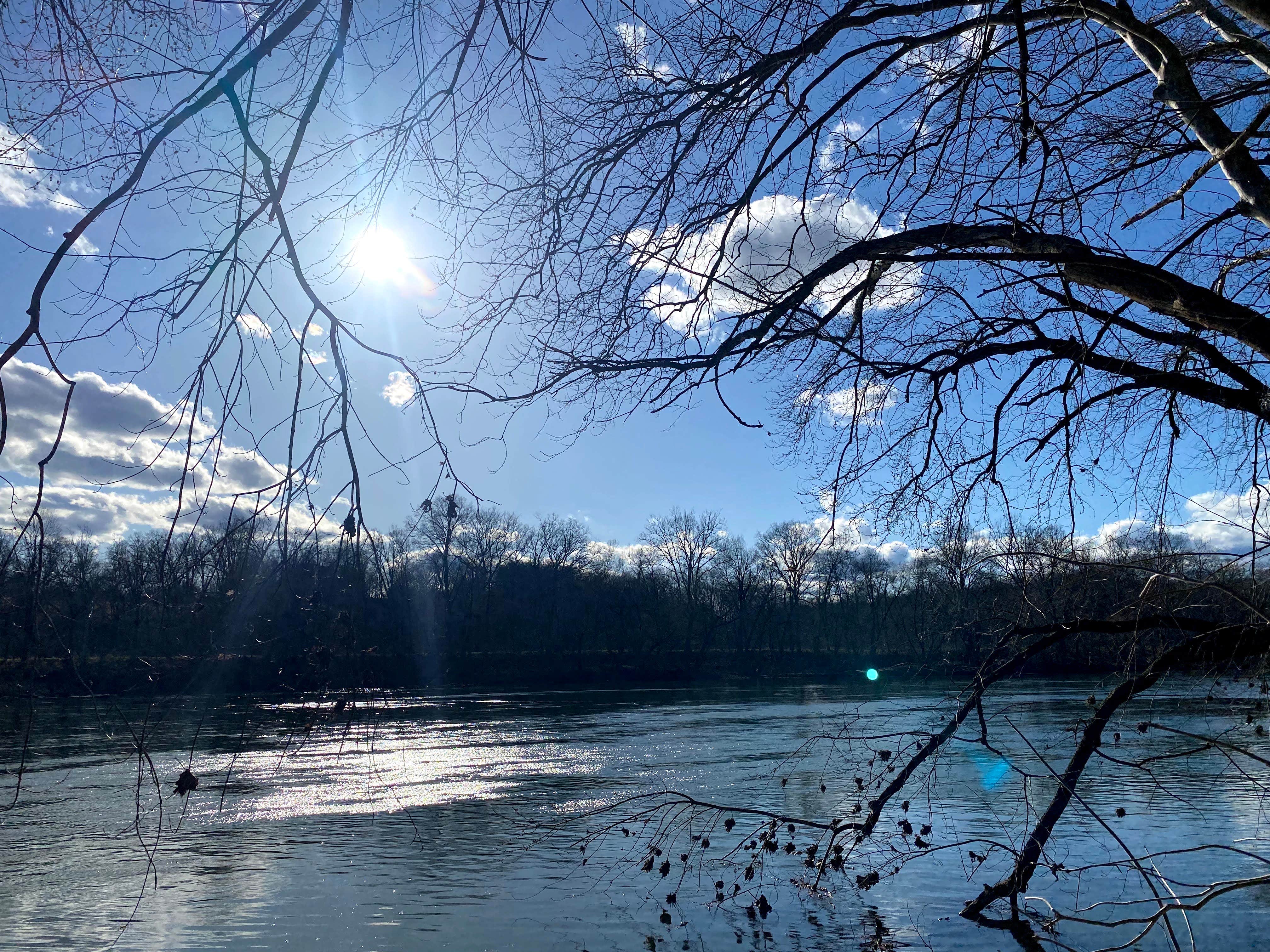 Camper submitted image from Antietam Creek Campground — Chesapeake and Ohio Canal National Historical Park - 5