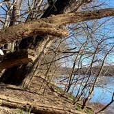 Review photo of Antietam Creek Campground — Chesapeake and Ohio Canal National Historical Park by Jarmonay N., August 22, 2021