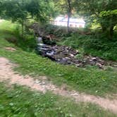 Review photo of Swains Lock Hiker-biker Overnight Campsite — Chesapeake and Ohio Canal National Historical Park by Jarmonay N., August 22, 2021