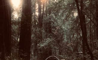 alissa C.'s photo at Hendy Woods State Park Campground near Redwood Valley, CA