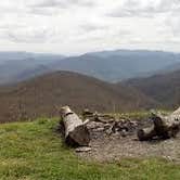 Review photo of Cheoah Bald Campground by Cory D., June 19, 2018